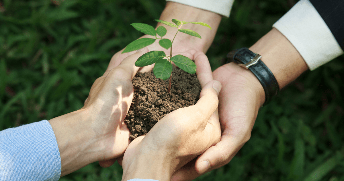 10 Innovative Ideas for a Hackathon - Sustainability.png